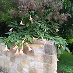 컨트리하우스 La Chimenea Cantabra