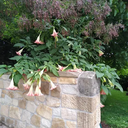 컨트리하우스 La Chimenea Cantabra