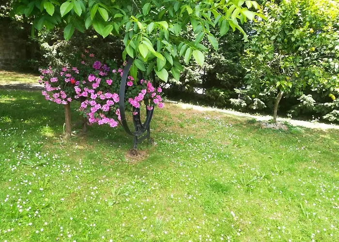 乡村民宿 La Chimenea Cantabra *