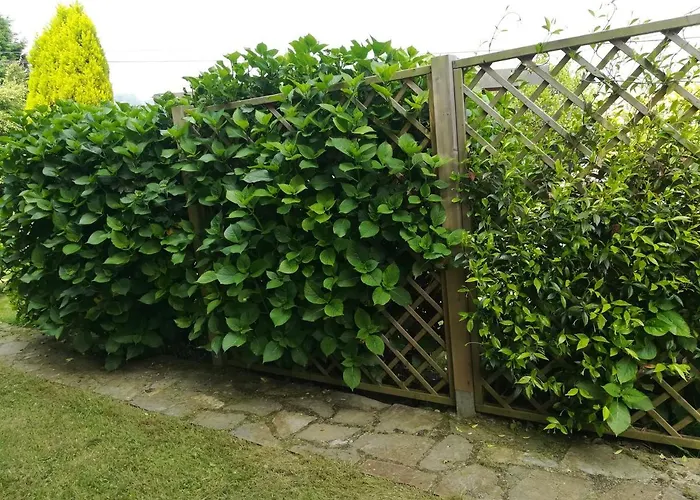 乡村民宿 La Chimenea Cantabra