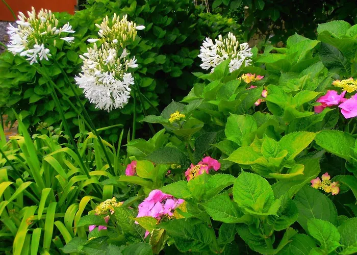 La Chimenea Cantabra Orena