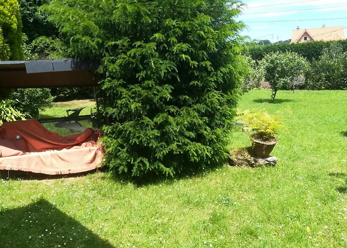 乡村民宿 La Chimenea Cantabra *