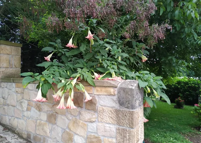 컨트리하우스 La Chimenea Cantabra